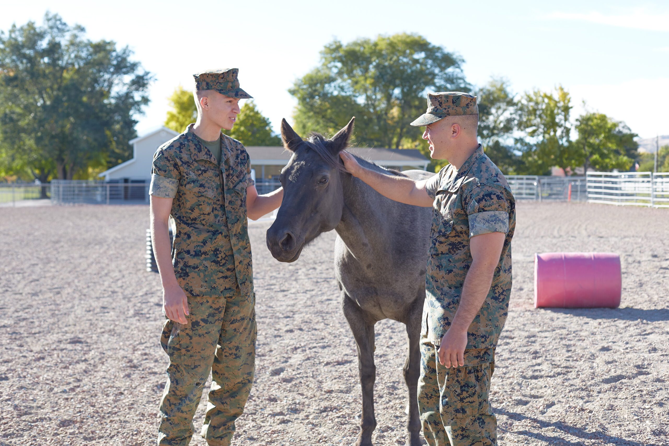 Two male active military men petting a horse