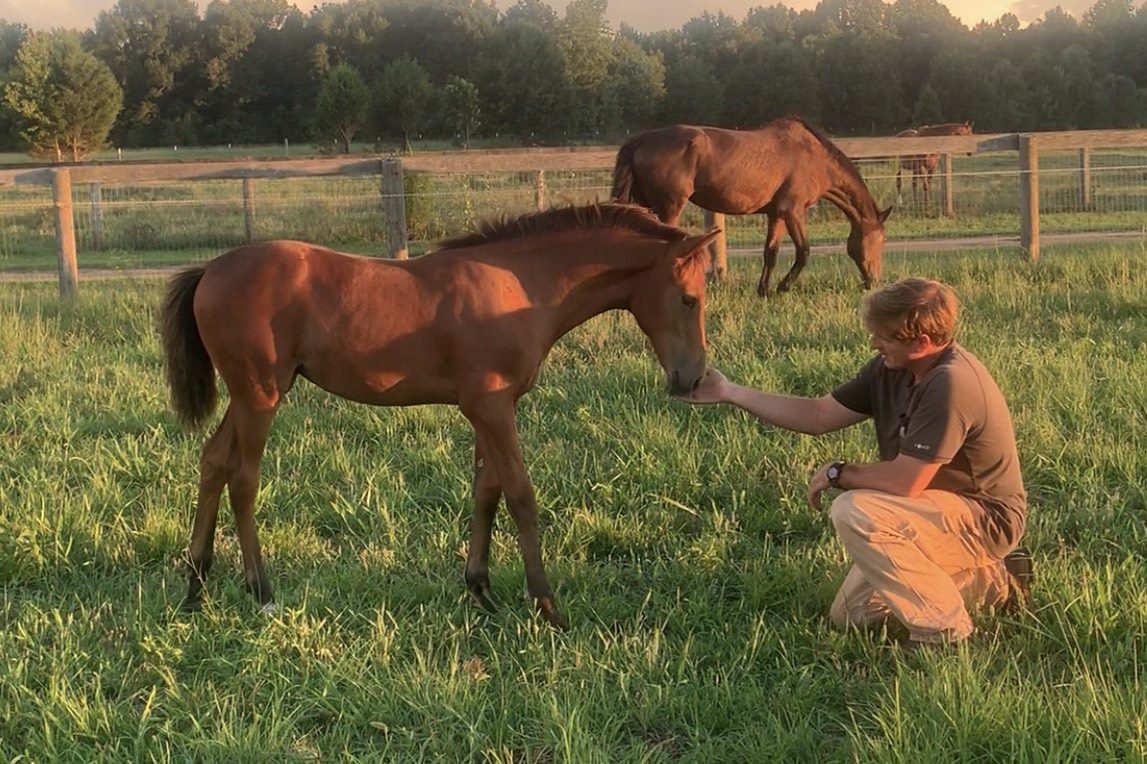A man kneeling and putting his hand out to a horse in Georgia.