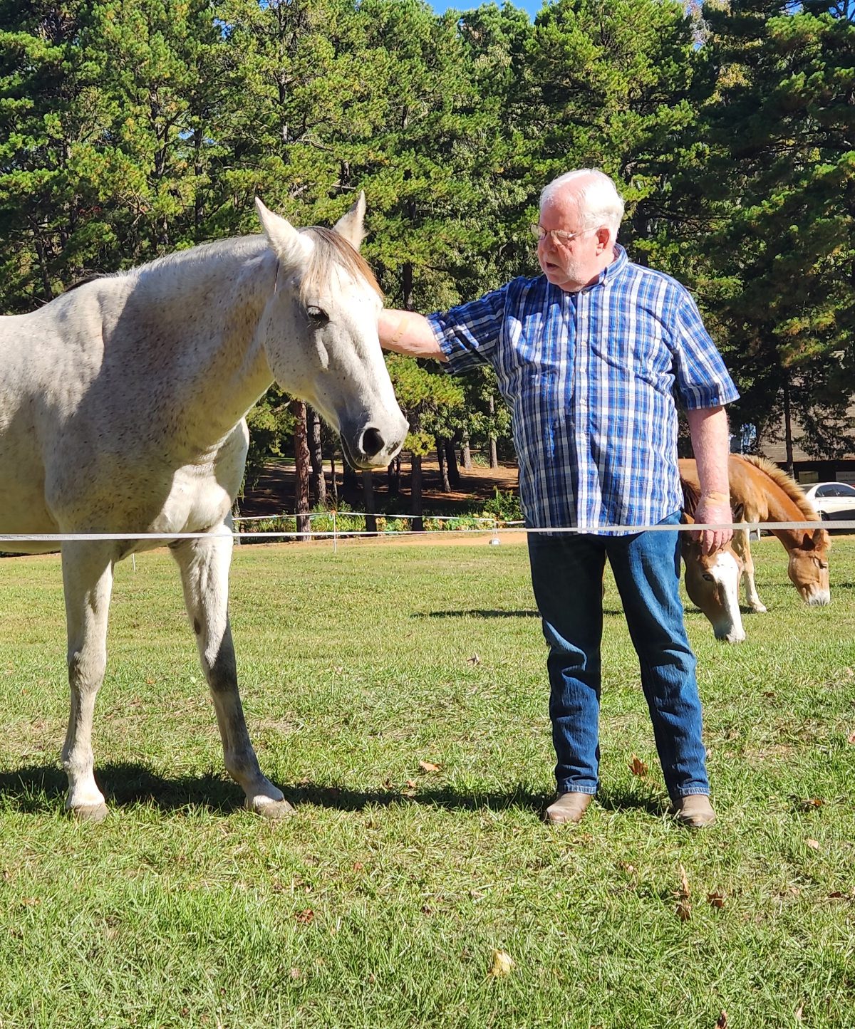 An older man petting a white horse in a field.