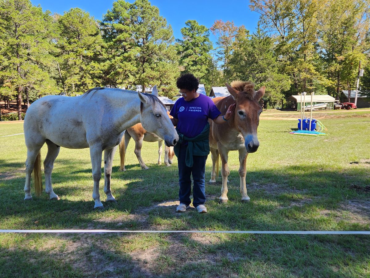 Someone standing between two horses with a hand on each horse in a Texas pasture.